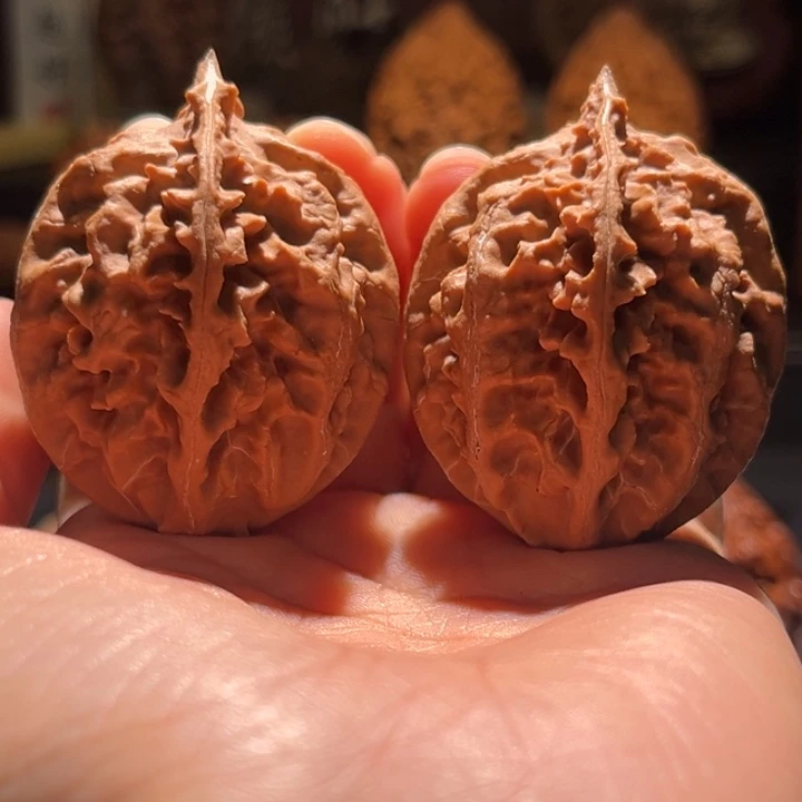吊坠文玩核桃狼牙趸57