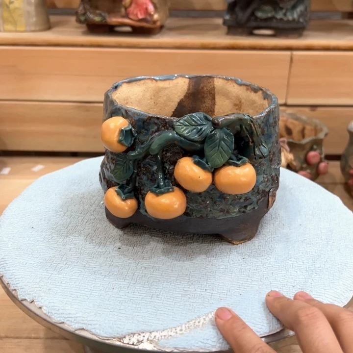 陶然多肉花盆百搭