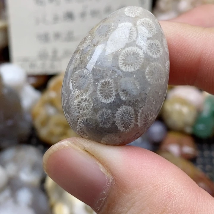 硅化珊瑚（珊瑚玉）未镶嵌颈饰有瑕