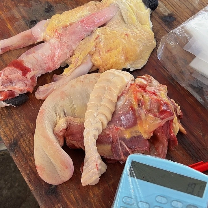 广西土耕马马肉、送马油沙姜小米辣12个月中国大陆
