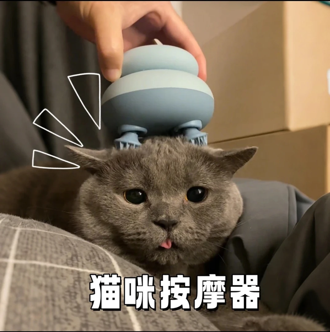 宠物猫咪头部按摩器八爪鱼按摩仪头部抓头按摩刷电动懒人撸猫神器