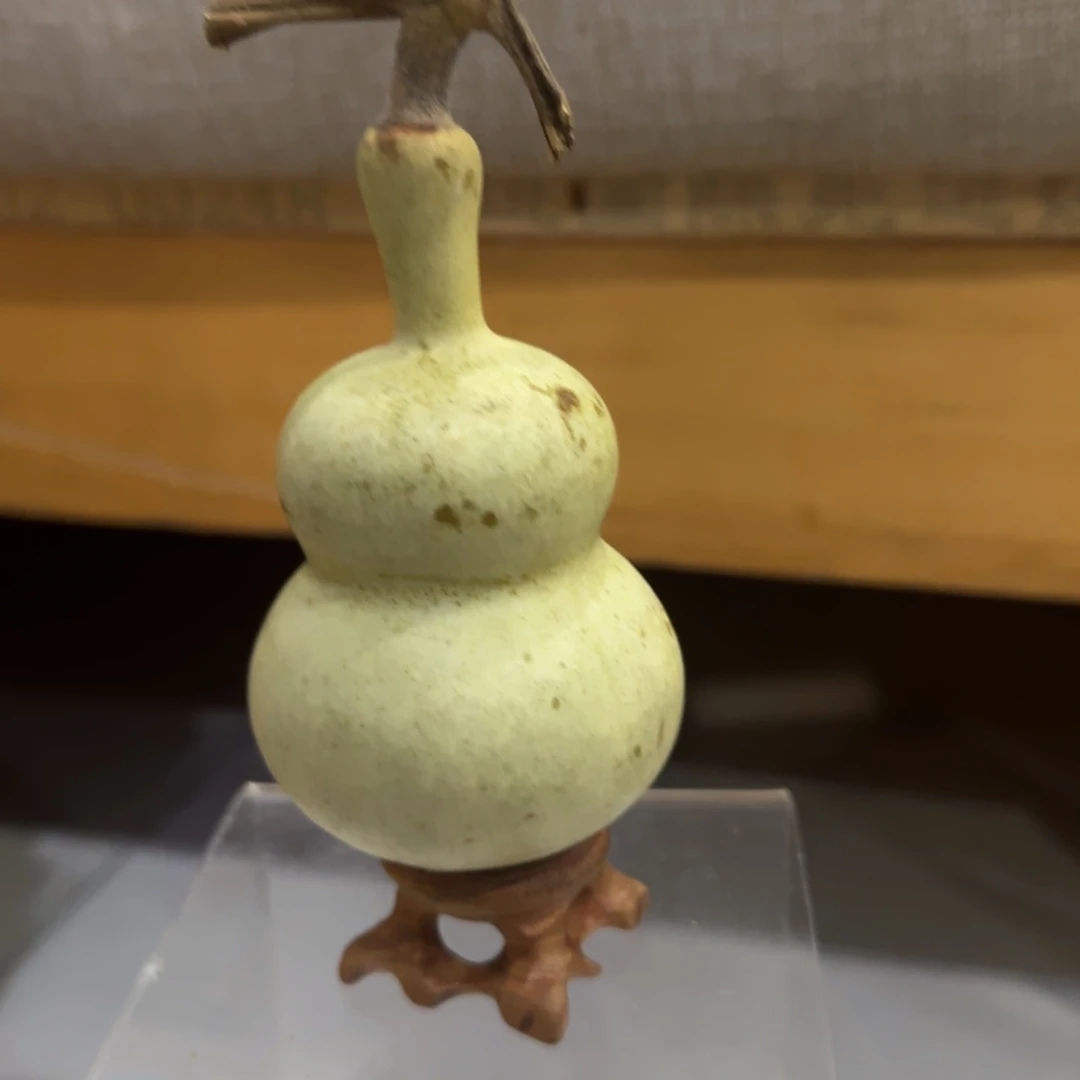 葫芦卡饿了乐乐乐乐路途太乐乐了