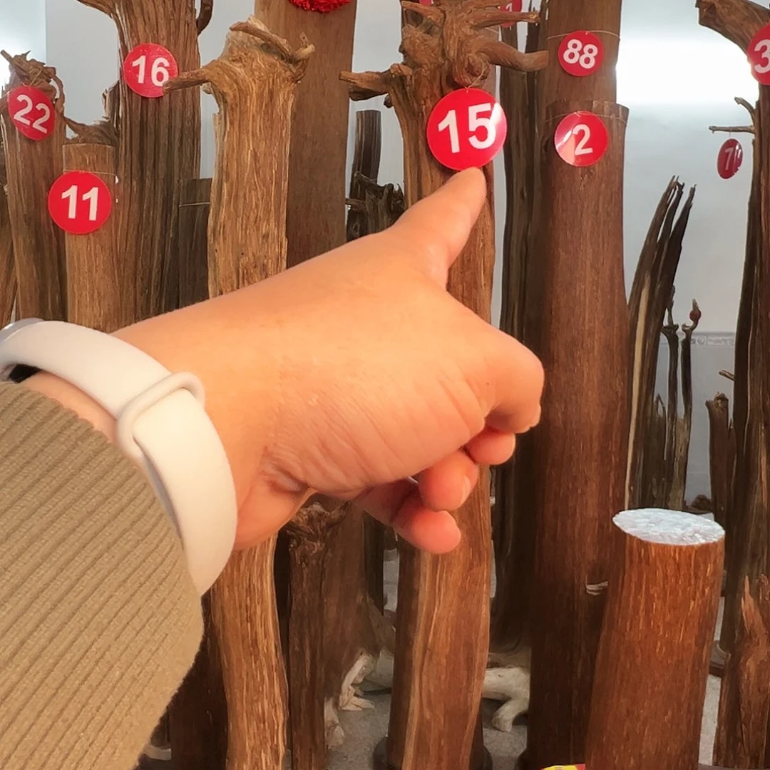 无***畏沉香碎屑沉香沉香原料6