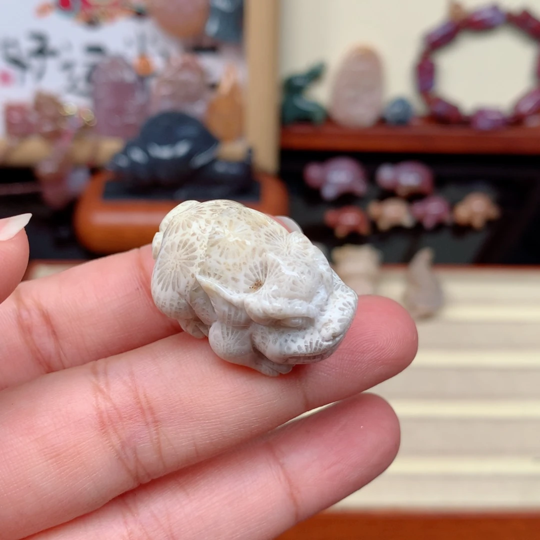 硅化玉未镶嵌颈饰