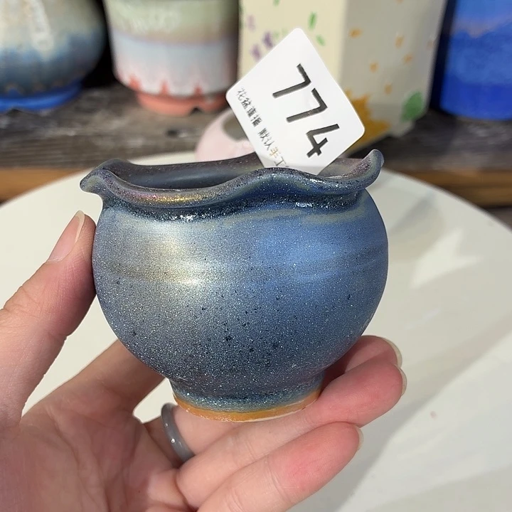 花盆花盆花盆炫彩