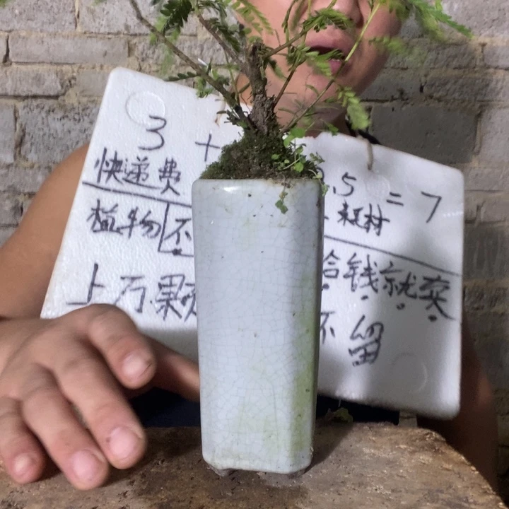 退款拉黑一物一拍278