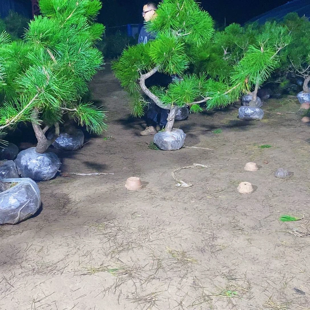 小***李完全开放2222222222222