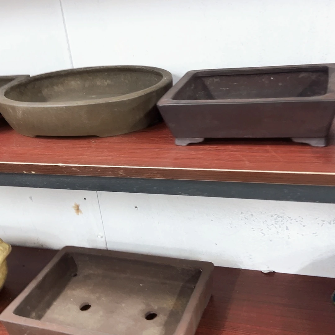 厦***哥对你的喜欢就如同这日子只增不减666