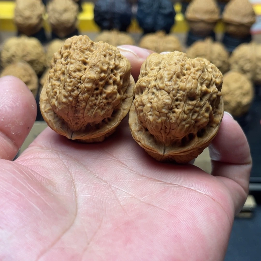 43mm蝴蝶金蟾 52克 19号