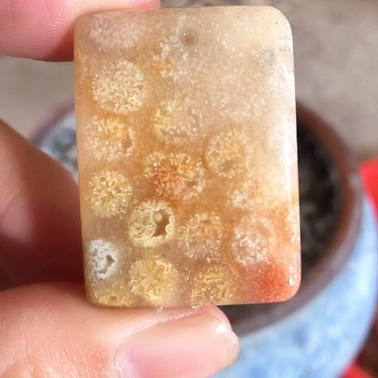 硅化玉吊坠未镶嵌