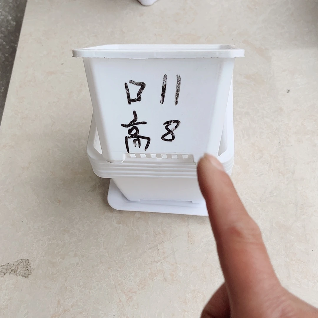 塑料福利款11方白色小时盆20个带托盘