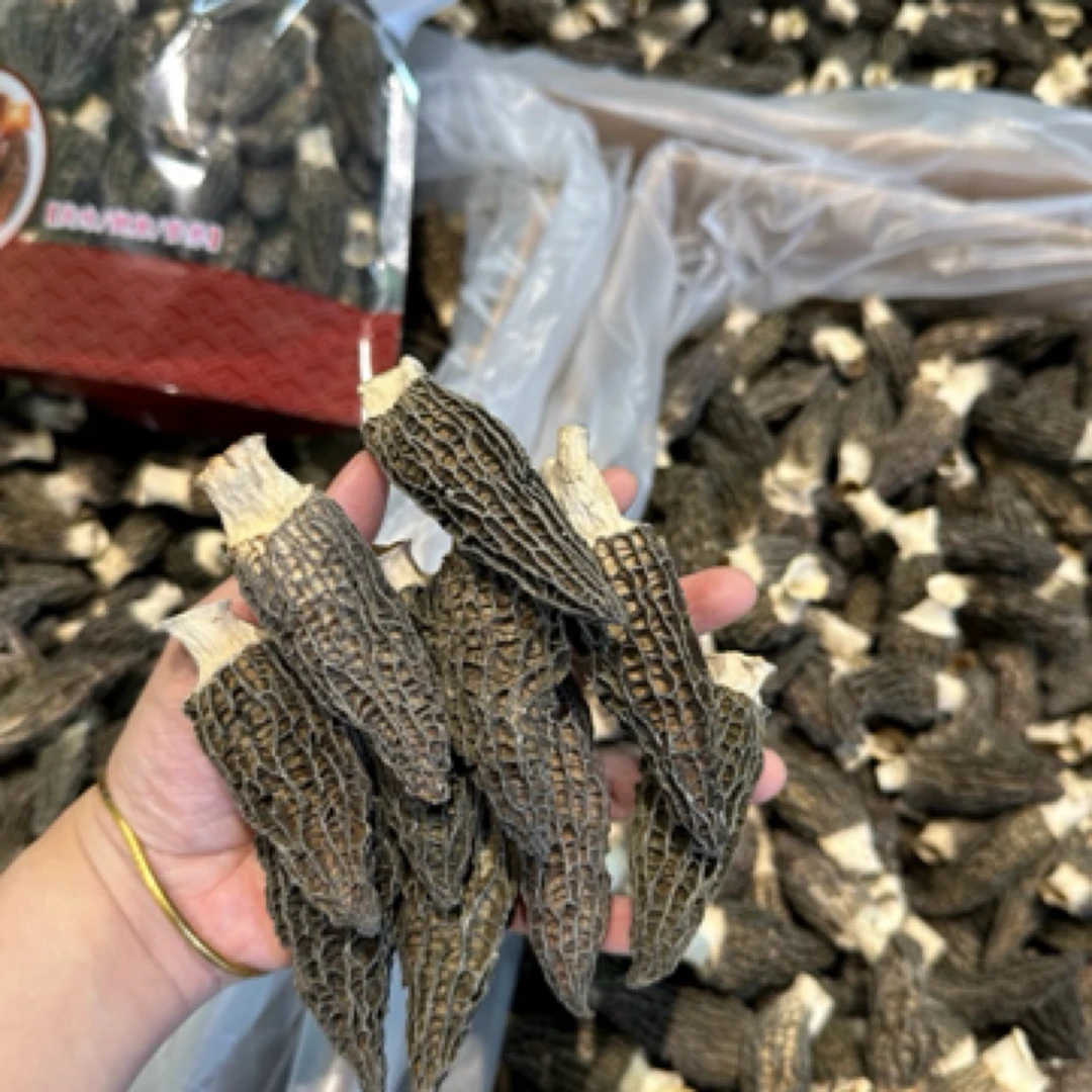 头期厚肉羊肚菌5-8高性价比 干货炖汤散装农产品 毛重