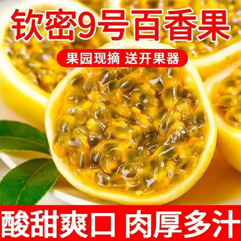 广西钦蜜9号黄金百香果新鲜水果黄色纯甜大果皱皮原浆现摘包邮