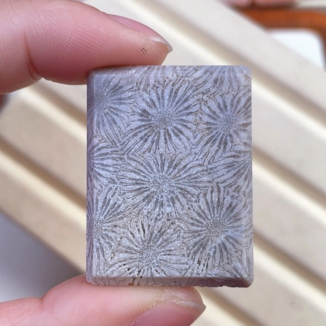 【闪购商品】硅化玉吊坠(赠链)未镶嵌