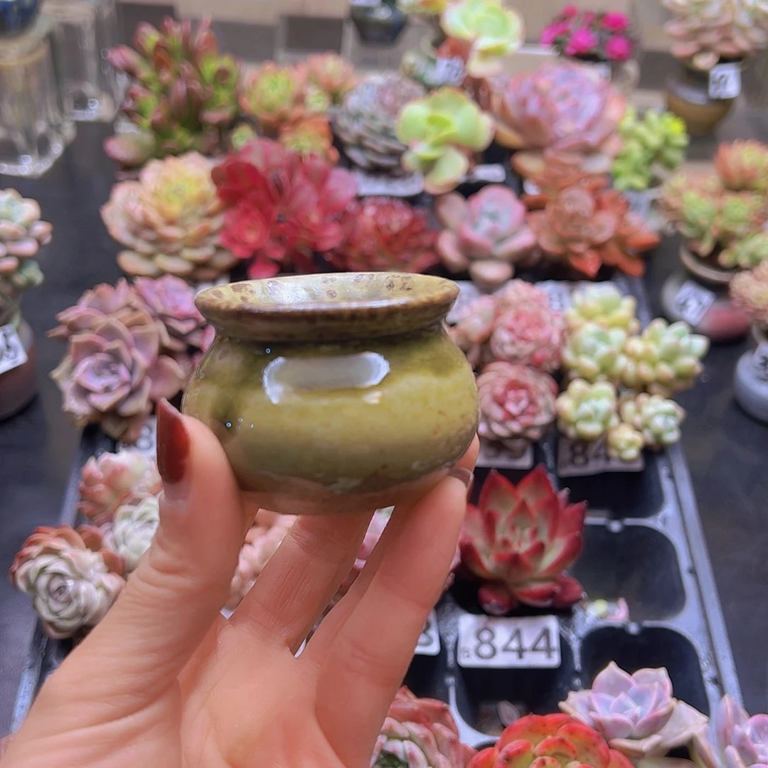 无铅玻璃三*花钱花钱花钱花钱