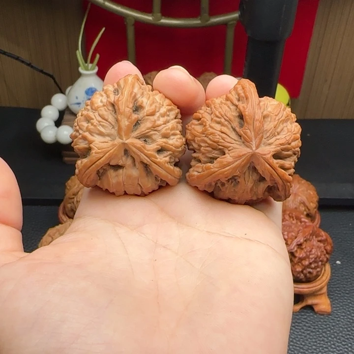 把件文玩核桃白狮子 37尺寸