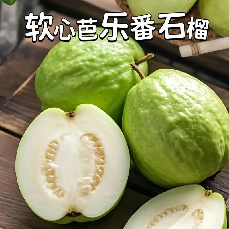 白心奶油芭乐 口感软糯香甜