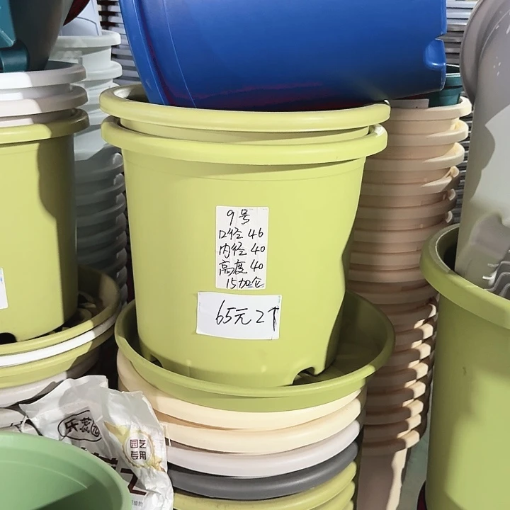 微瑕9#口径46高40无托果绿3个