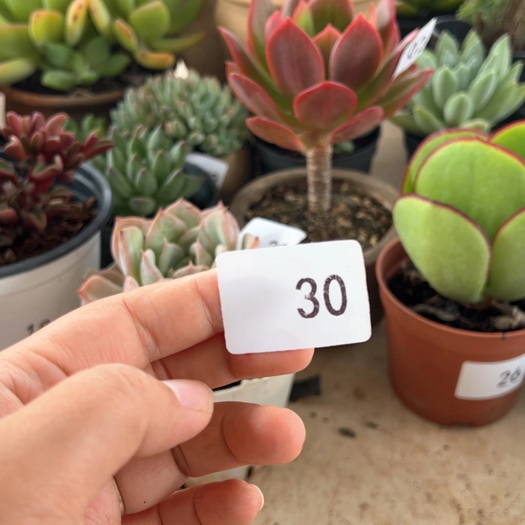 【闪购商品】?****呀30。 1111111