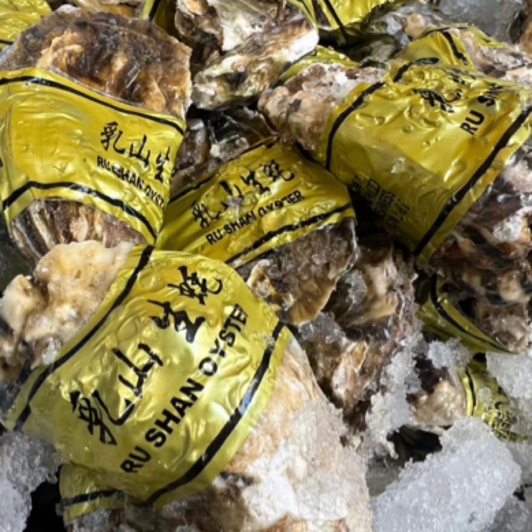 肥美超大乳山生蚝4百克单只买10只送两只  精选深海大蚝