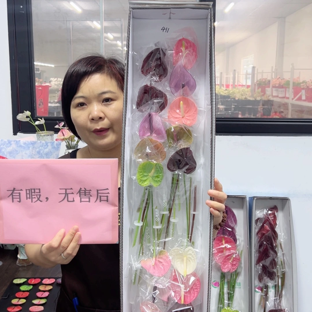 完全开放混色-20枝装无售后款411