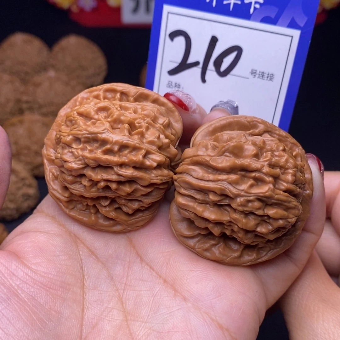 210号链接篓子4.3尺全品