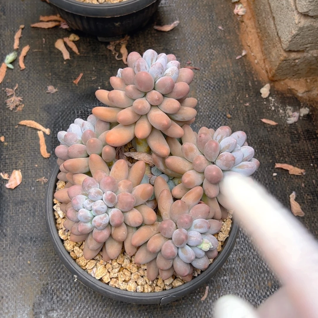 @***逝101311111111111111111