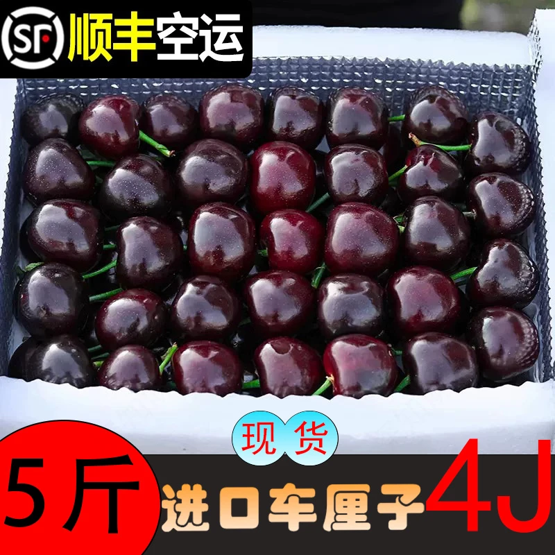 4J5斤巨无霸原箱进口车厘子当季水果特大果孕妇宝宝水果送礼精选