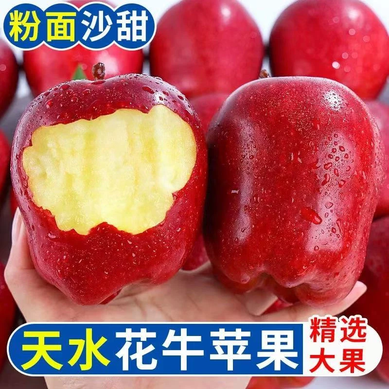 甘肃天水花牛苹果新鲜当季水果整箱包邮红蛇果粉面香甜