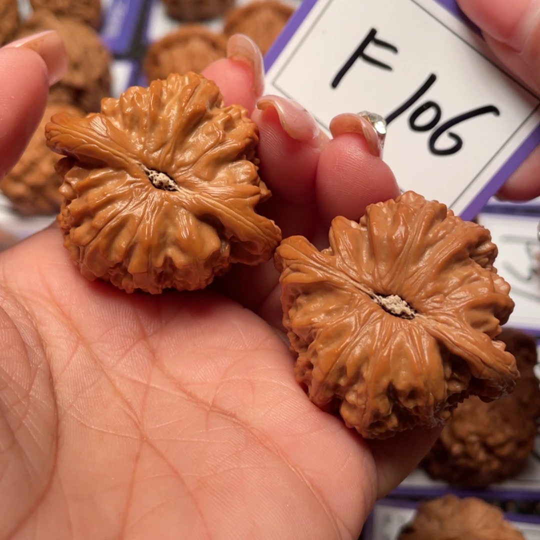 桃核把件106号白狮子43