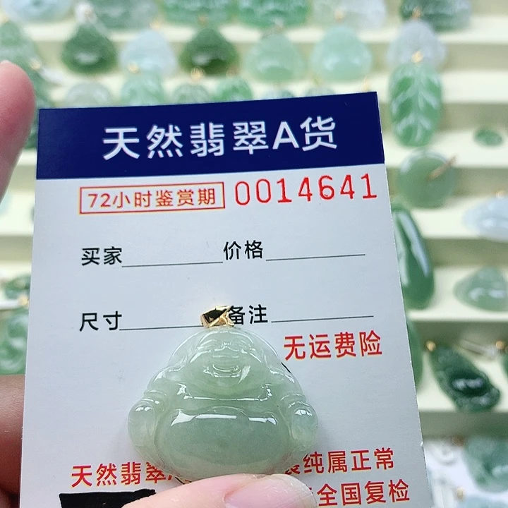 颈饰未镶嵌翡翠吊