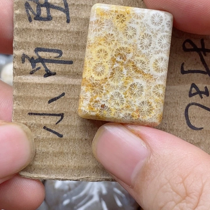 颈饰未镶嵌硅化珊瑚（珊瑚玉）乁****ㄏ