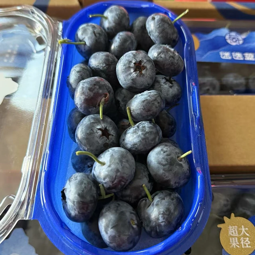 迷迭蓝蓝莓2盒（24+大果