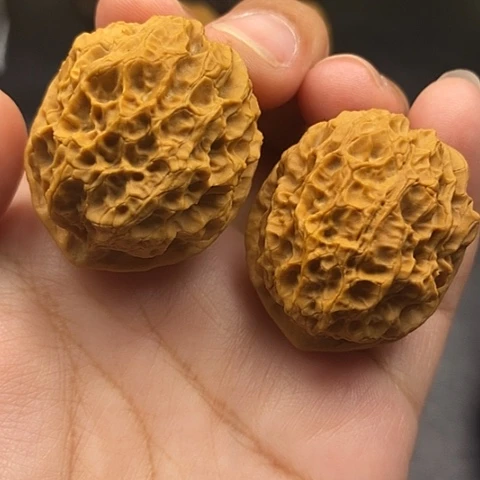 文玩核桃把件37尺珊瑚绣球