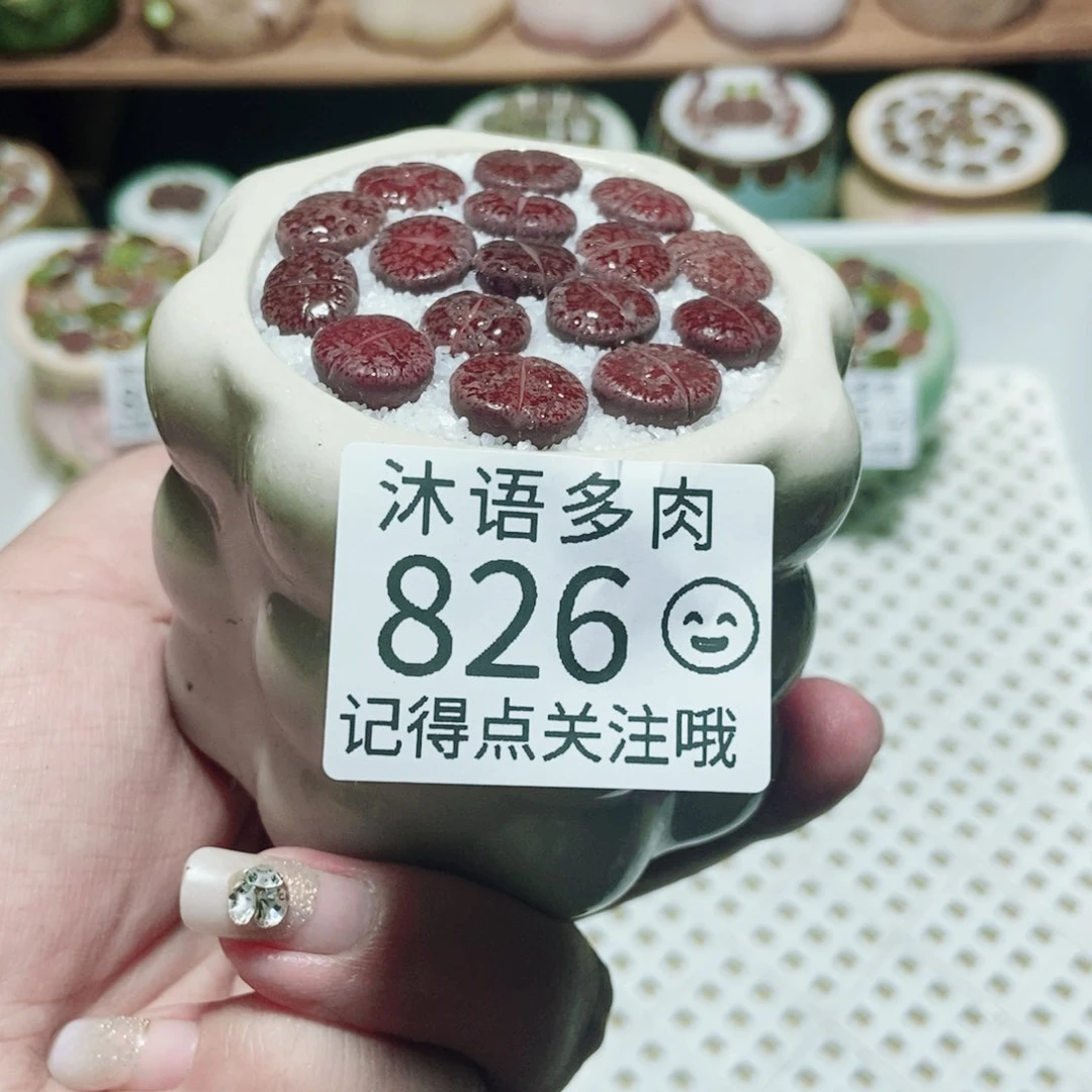 一物一拍 所见即所得826