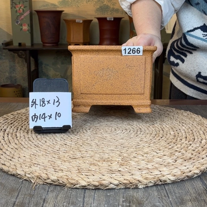 花盆紫砂  柴烧奎面刻绘一颗印1266