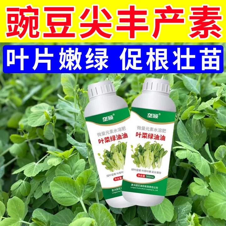 豌豆尖专用肥料豌豆尖嫩粗壮提苗暴长剂生根壮苗叶片嫩绿增粗催芽