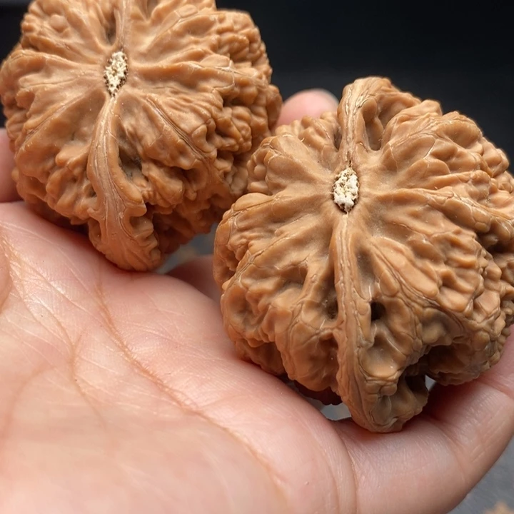 把件文玩核桃大粗筋48尺