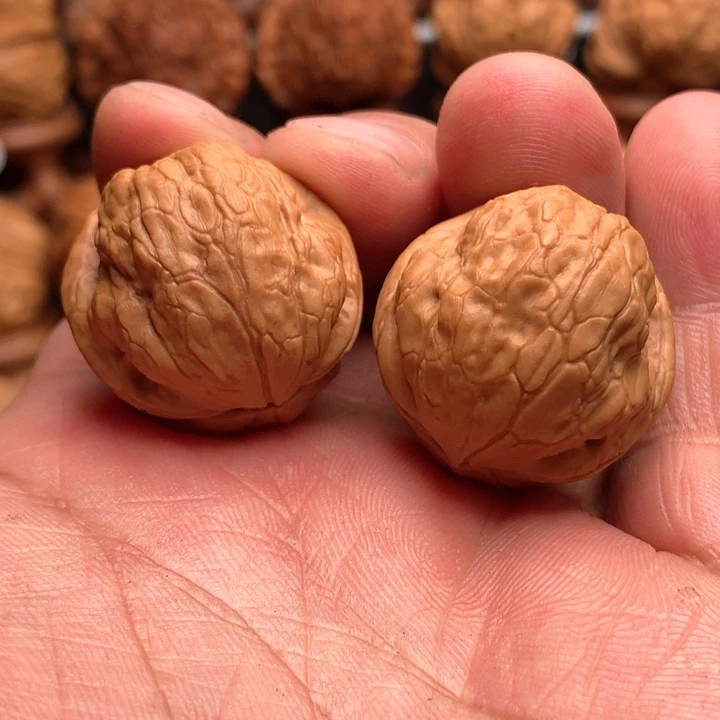 桃核把件小鹦鹉……