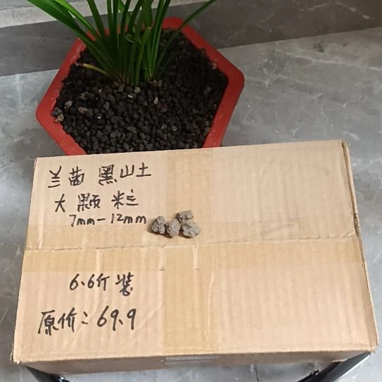 叶***兰菌黑山土大颗粒6.6斤