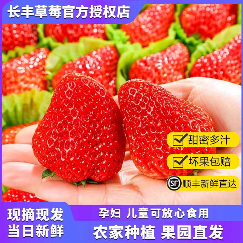 长丰草莓99红颜奶油新鲜水果九九草莓现摘