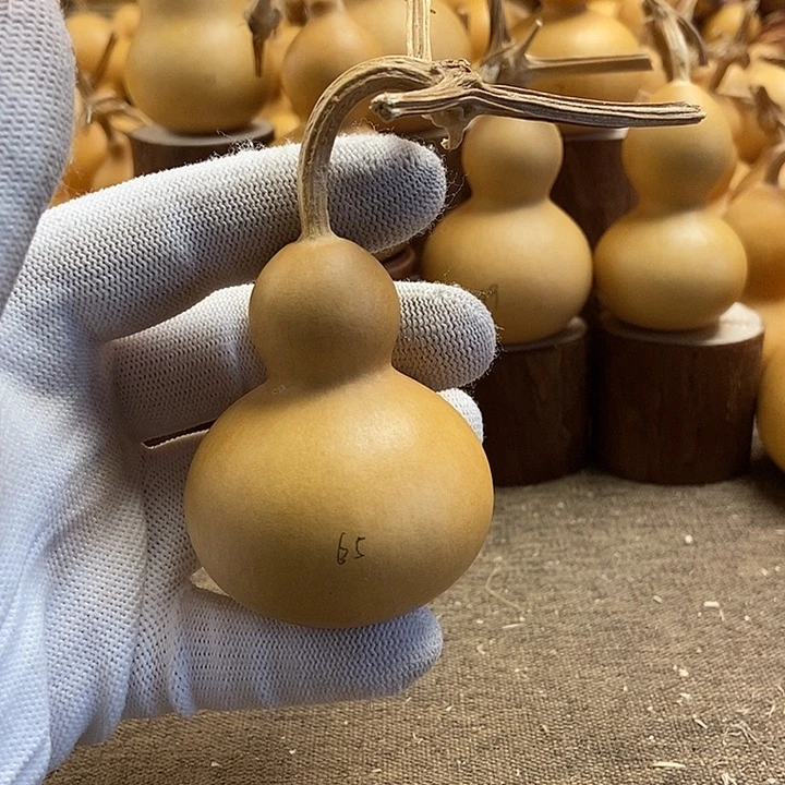 文玩葫芦 完美主义者 慎拍65