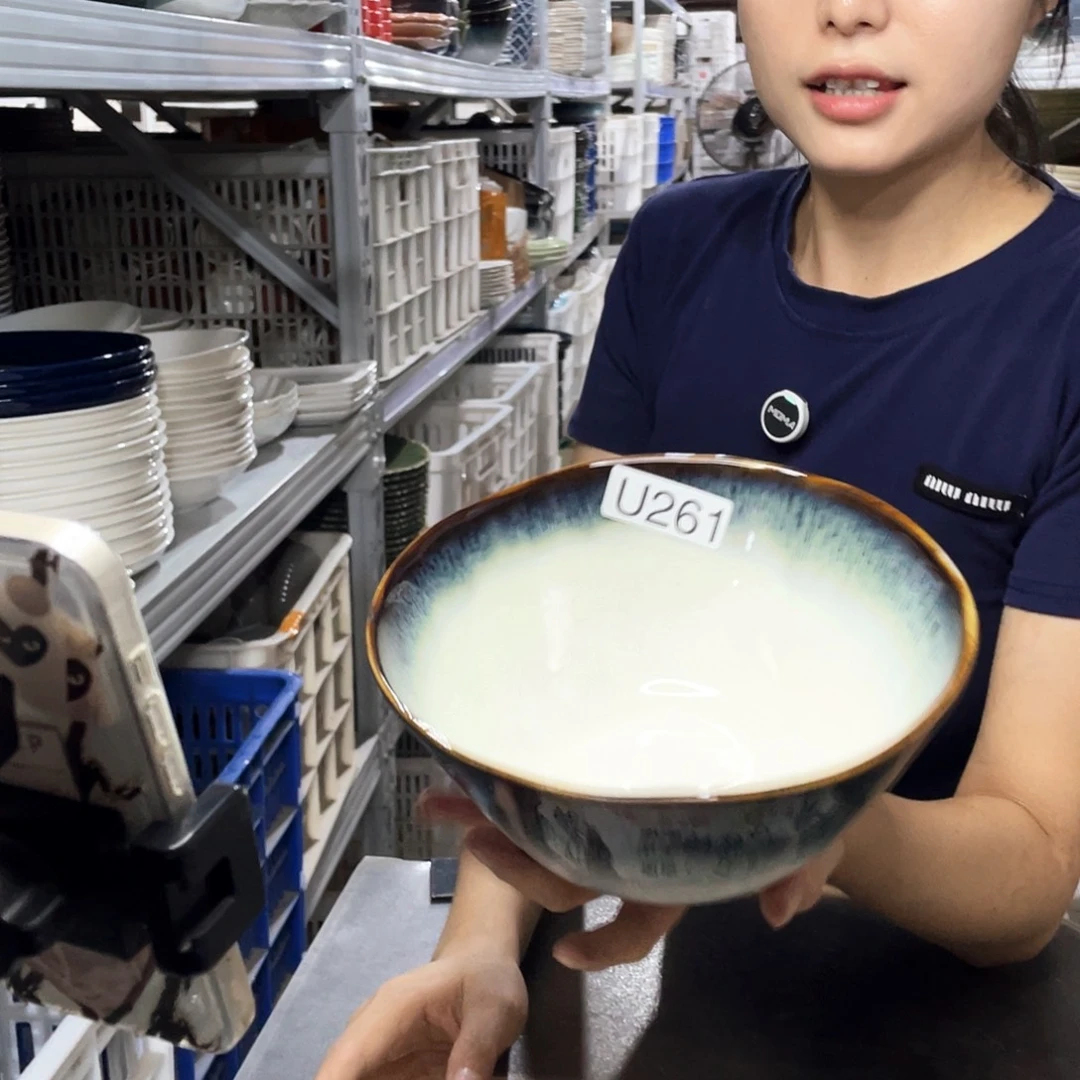 瓷片261           2个
