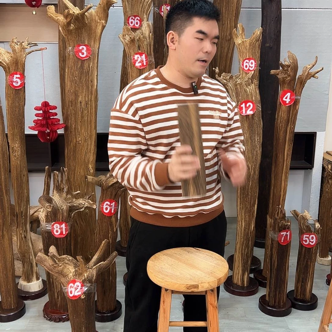 沉香摆件海南沉香摆件