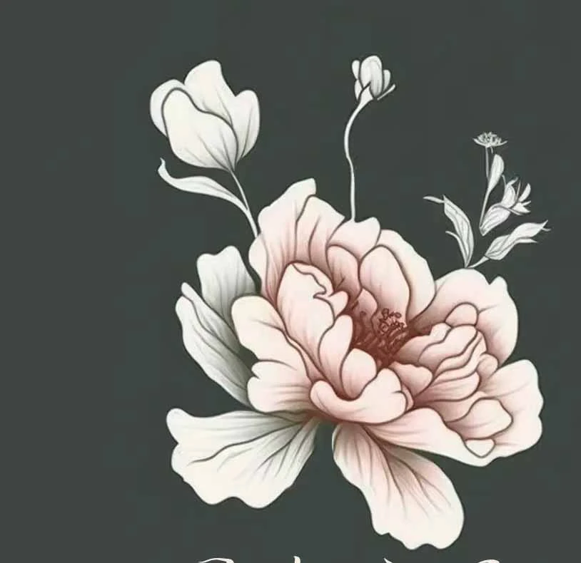 衣衣1号~100号拍这里