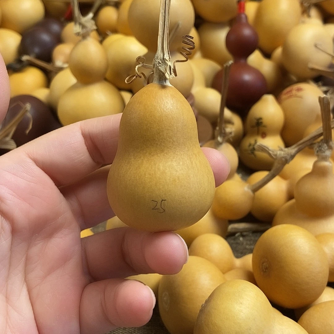 文玩葫芦 完美主义者 慎拍25