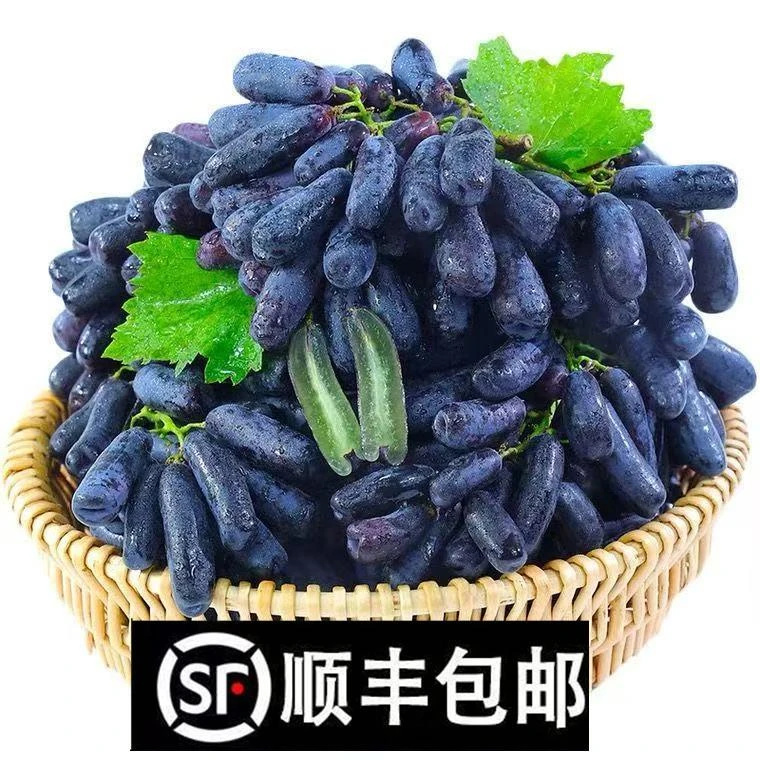 蓝宝石葡萄无籽金手指黑提鲜果黑美人指新鲜孕妇水果