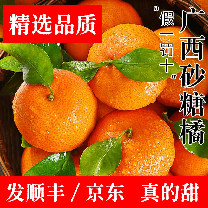 【顺丰包邮】正宗广西砂糖橘产地新鲜水果当季蜜桔沙糖桔橘子贡柑