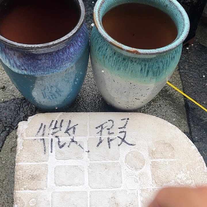 泥塑自产自销模式
