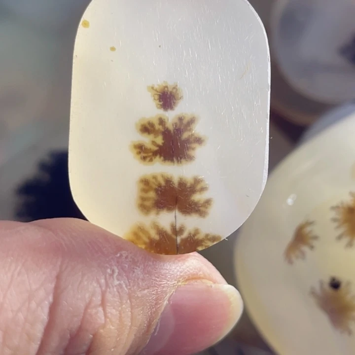 玛瑙/玉髓吊坠(不含链)未镶嵌向****深